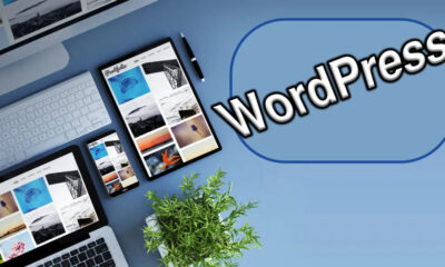 Beneficiile Web Designului în Afaceri pe WordPress | Zicala.ro