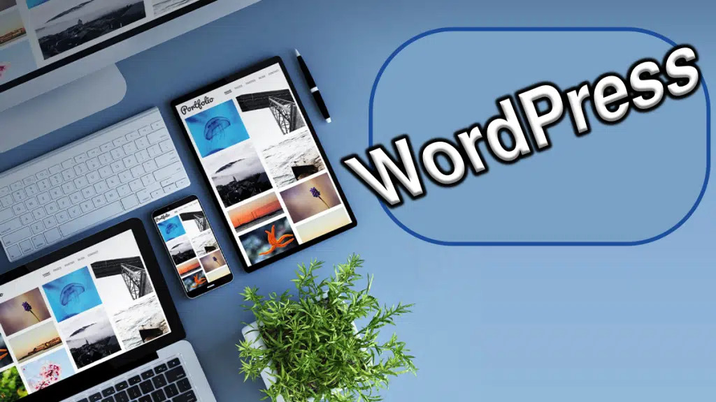 Beneficiile Web Designului în Afaceri pe WordPress | Zicala.ro