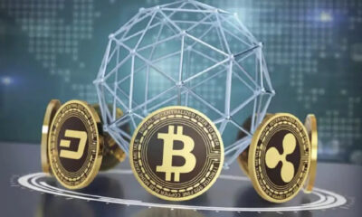 🟡Înțelegerea Criptomonedei | Zicala.ro