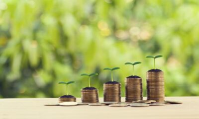 Ce este Etica și ce rol Joacă în Investiții? | Zicala.ro