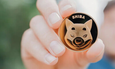 Care Este Viitorul Pentru Shiba Inu (SHIB)? | Zicala.ro