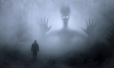 👻Cele Mai Bune Filme cu Fantome | Zicala.ro