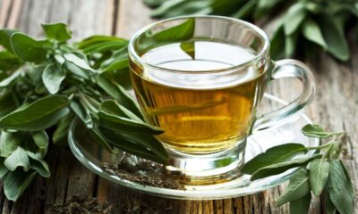 Ceaiul de Salvie: Beneficii, Utilizări și Contraindicații