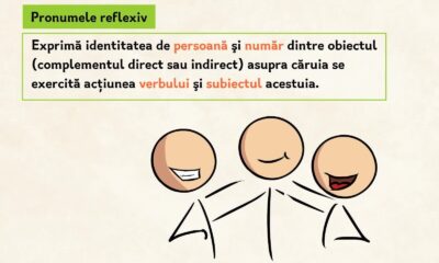 Pronumele reflexiv și structurile reflexive în limba română