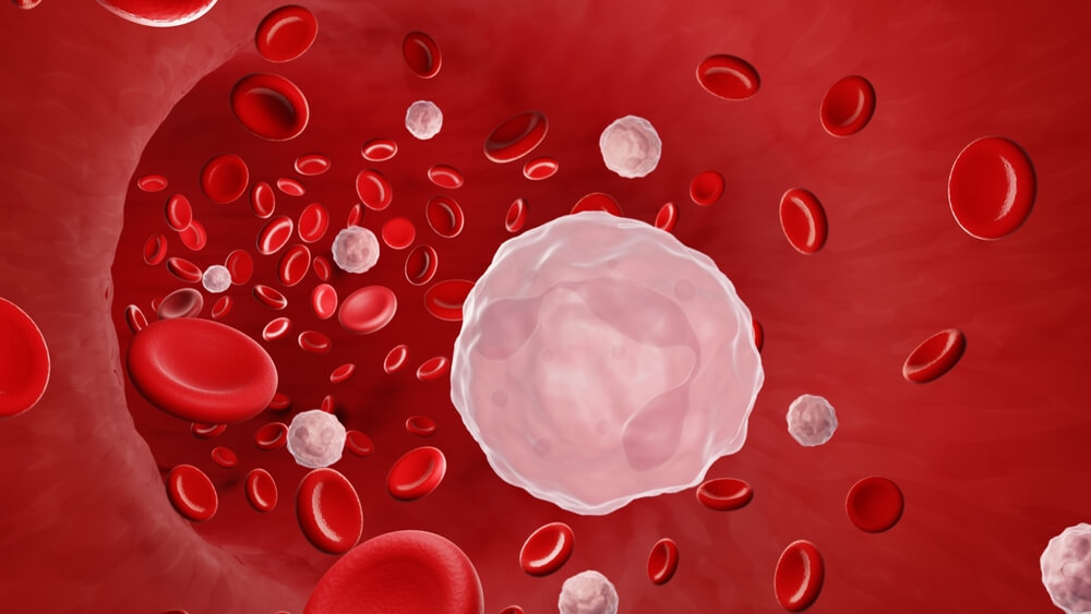 Leucocite mărite în analizele de sânge: Ce înseamnă?