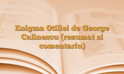 Enigma Otiliei Rezumat de George Călinescu | Zicala.ro
