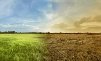 Efectele schimbărilor climatice asupra agriculturii