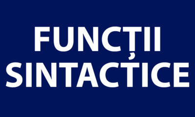 Categorii de funcții sintactice în gramatica română