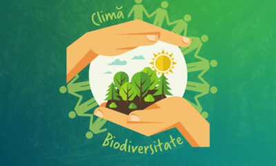 Conservarea biodiversității și protejarea ecosistemelor🌳