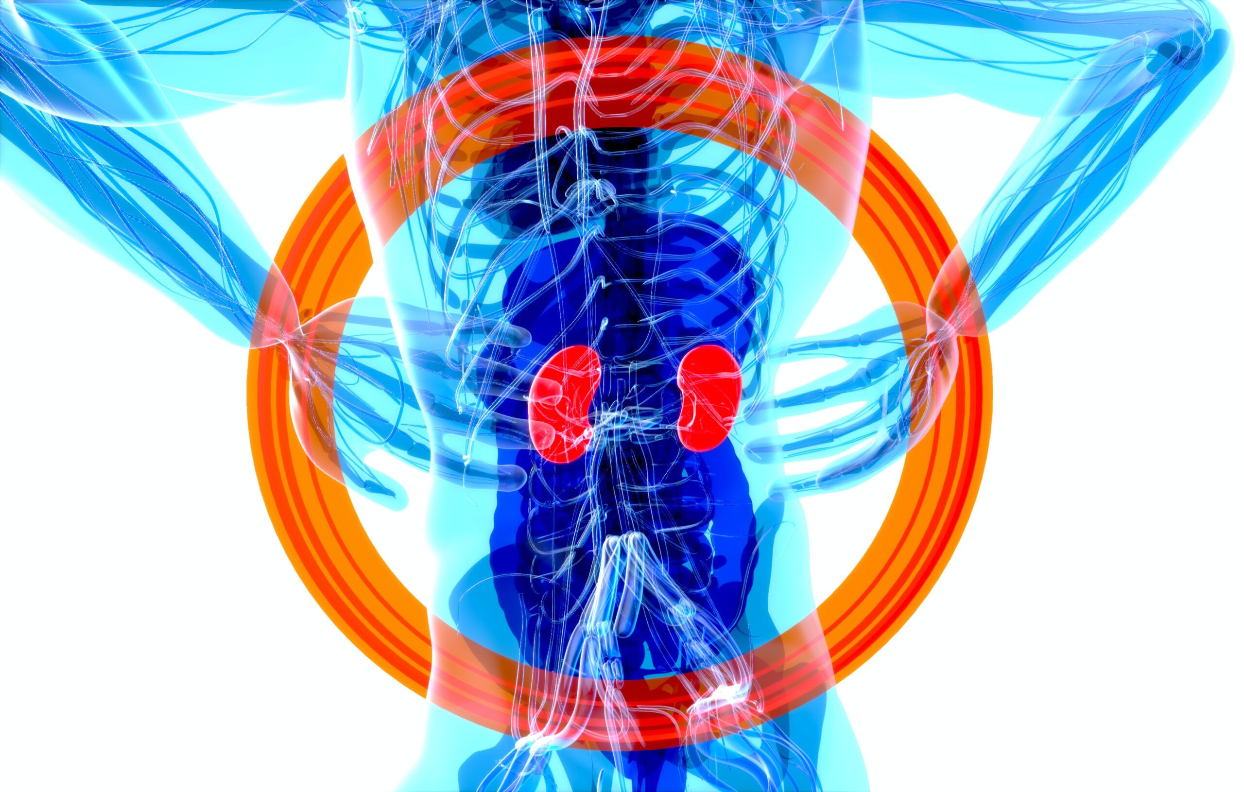 Durerea de rinichi: Cauze, simptome, tratament și prevenire