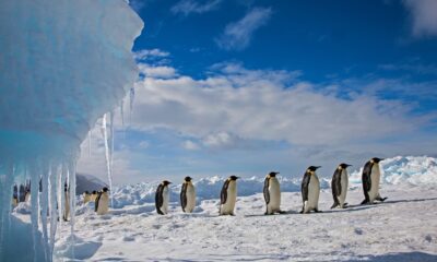 Ce puteți vizita la Polul Sud?