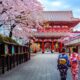 Ce este cultura japoneză și cum diferă de cea românească