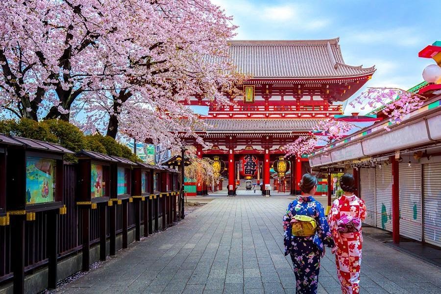 Ce este cultura japoneză și cum diferă de cea românească