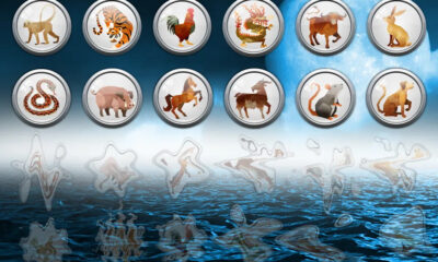 Descoperiți cele 12 zodii chinezești în detaliu