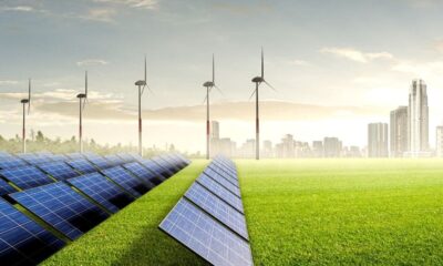 Ce este certificatul verde: Utilizare și beneficii