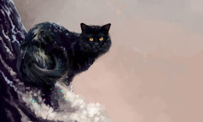 Ce înseamnă când visezi pisică neagră | Zicala.ro