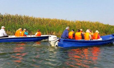 Tendința apelor Dunării: O analiză a schimbărilor fluviale