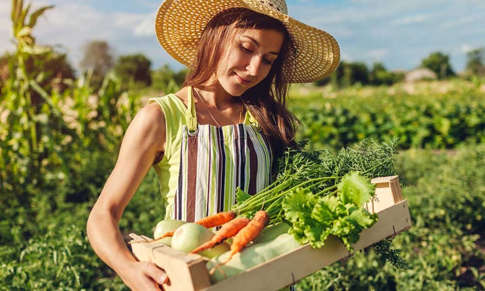 Top 17 Idei De Afaceri La ar n 2025