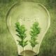 Energia verde: Definiție și accesibilitate